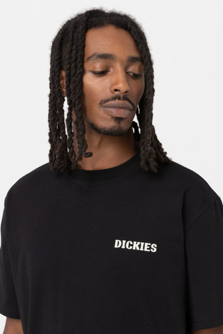 Tričko Dickies Hays