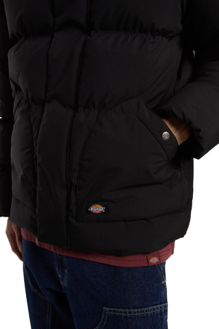 Kurtka Zimowa Dickies Eagleville