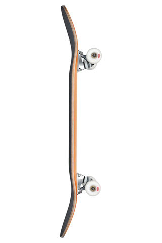 Skateboard Globe Goodstock