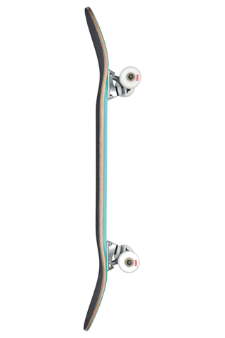 Skateboard Globe Goodstock