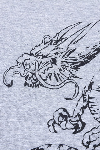 Bluza Rozpinana Mercur Dragon