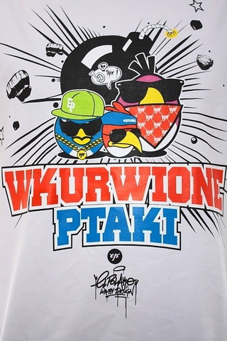 WKURIONE PTAKI