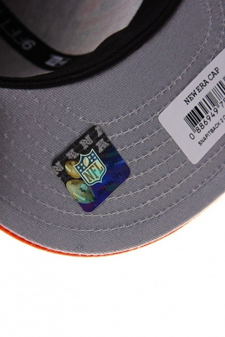 CHICAGO BEARS
