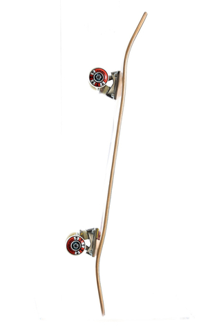 Alien Workshop Visitor 8.125 Skateboard