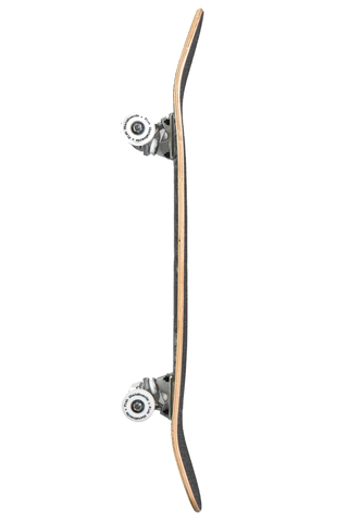 Deskorolka Fish Skateboards T-rex