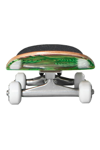 Deskorolka Fish Skateboards T-rex