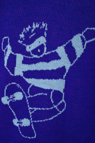 Sweter Polar Skate Dude