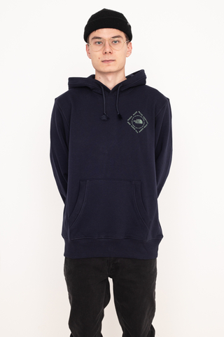 The north face hot sale bottle source hoodie