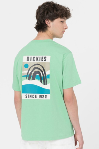 Tričko Dickies Baker City