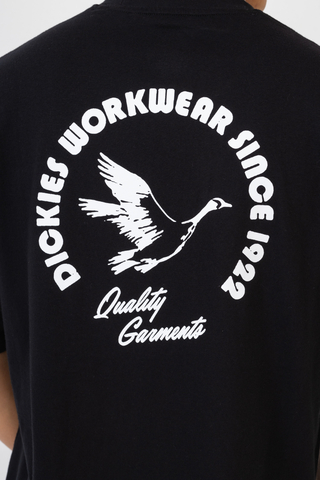 Koszulka Dickies Goose