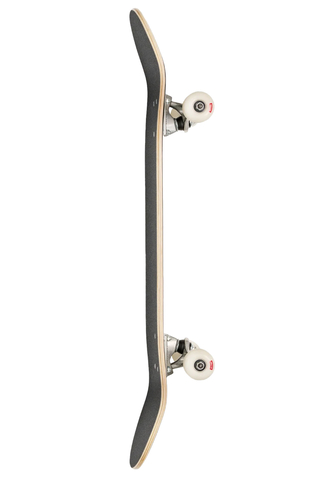 Skateboard Globe G0 Strype Hard