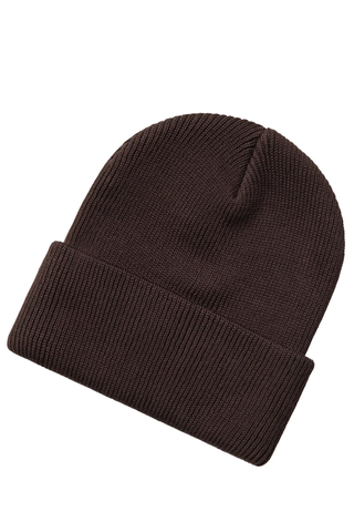 Zimní Čepice Carhartt WIP Ohio