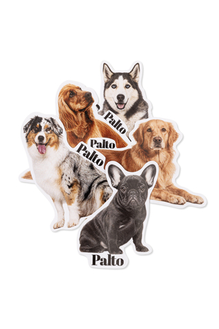 Naklejki Palto Frenchie