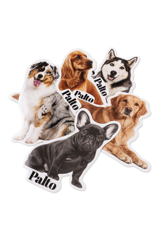Naklejki Palto Frenchie