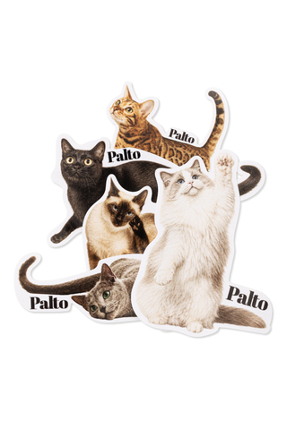 Palto Ragdoll sticker pack
