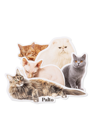 Palto Maine Coon sticker pack