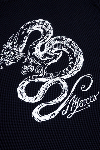 Longsleeve Mercur Dragon Waffle