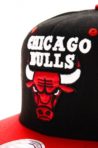 CHICAGO BULLS
