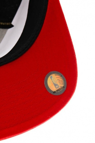 CHICAGO BULLS