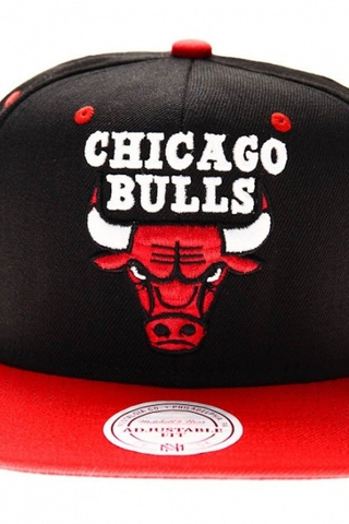 CHICAGO BULLS
