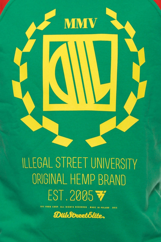 Bluza Diil Reglan Harvard New