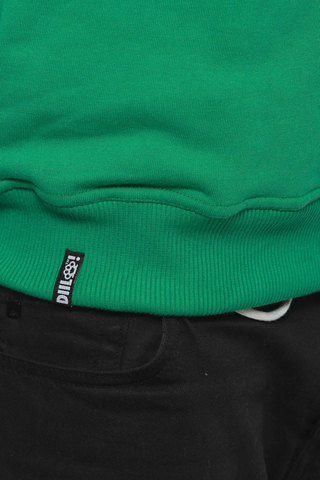 Bluza Diil Reglan Harvard New