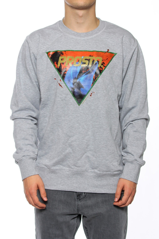 Bluza Prosto Dolphin