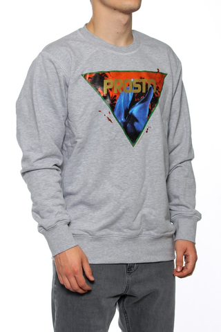 Bluza Prosto Dolphin