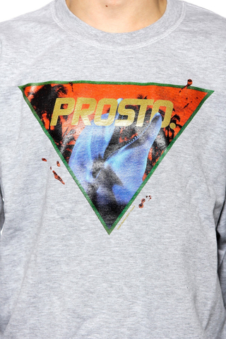 Bluza Prosto Dolphin