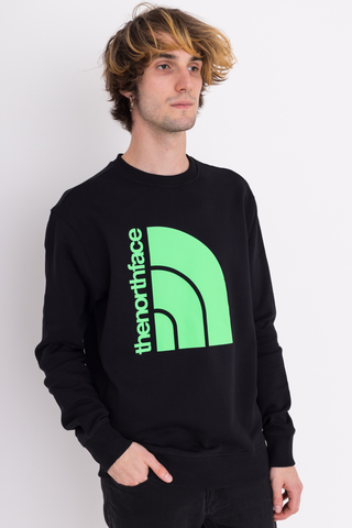Bluza Bez Kaptura The North Face Coordinates