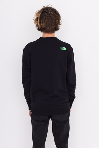 Bluza Bez Kaptura The North Face Coordinates