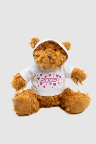 2005 Lovers Teddy Bear Plushie