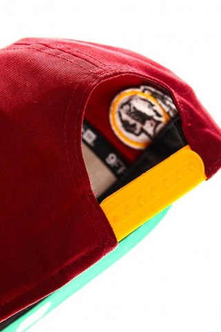 WASHINGTON REDSKINS