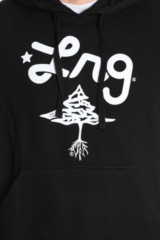 Bluza LRG True Sk8