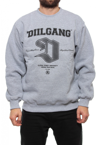 Bluza Dill Uliczny Harvard