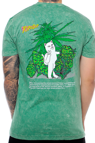 Koszulka Ripndip Purple Haze