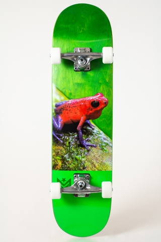 Deskorolka Mini Logo Poison Tree Frog