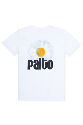 Koszulka Palto Daisy