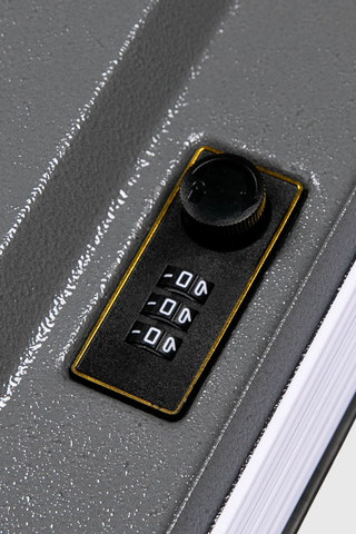 Safe Pleasures Saint