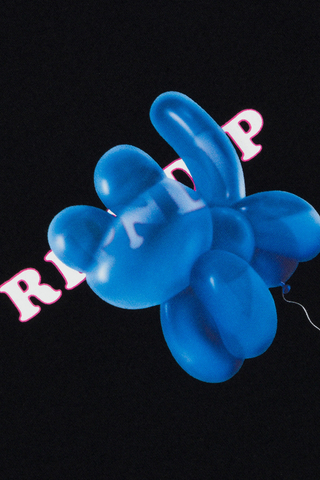 Koszulka Ripndip Favorite Artist