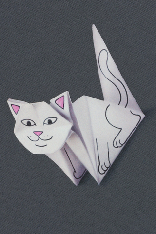 Bluza Z Kapturem Ripndip Origami