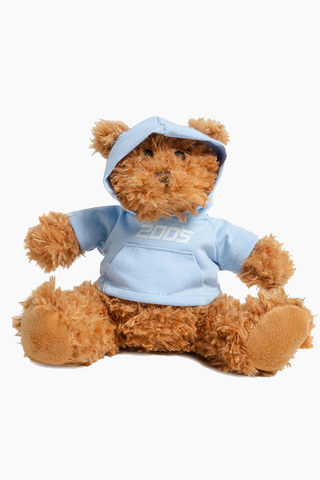 2005 Signature Teddy Bear Plushie Brown Baby Blue