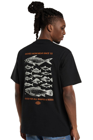 Dickies Laryville T-shirt Black DK0A87QGBLK1