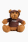 2005 Teddy Bear Plushie