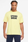 Nike SB Springbreak T-shirt
