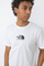 The North Face Fine Alpine Equipment T-shirt