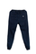 Kalhoty Elade Jogger Icon Mini Logo Jeans