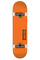 Skateboard Globe Goodstock