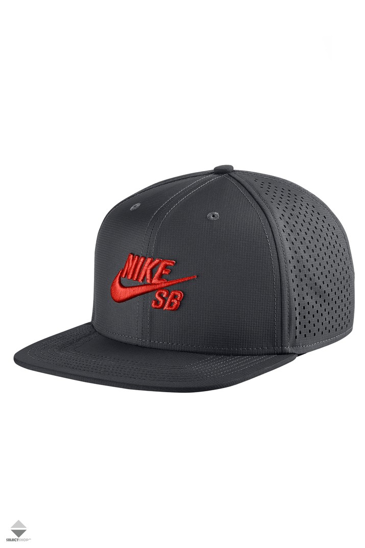 nike sb performance trucker hat
