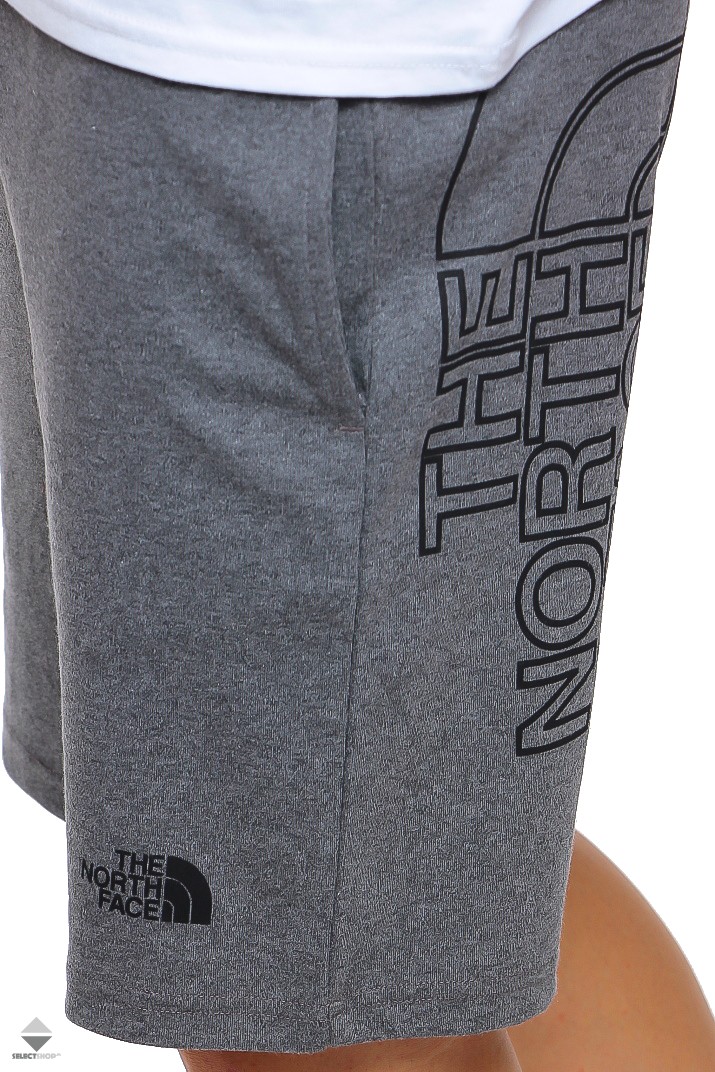 Szorty The North Face Graphic Grey T93S4FDYY